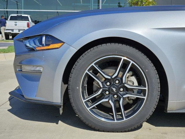 2022 Ford Mustang Vehicle Photo in Terrell, TX 75160