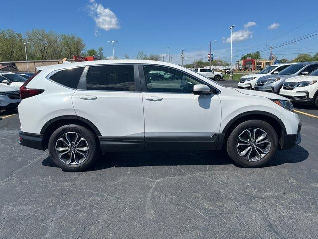 2020 Honda CR-V Vehicle Photo in BATTLE CREEK, MI 49037-8454