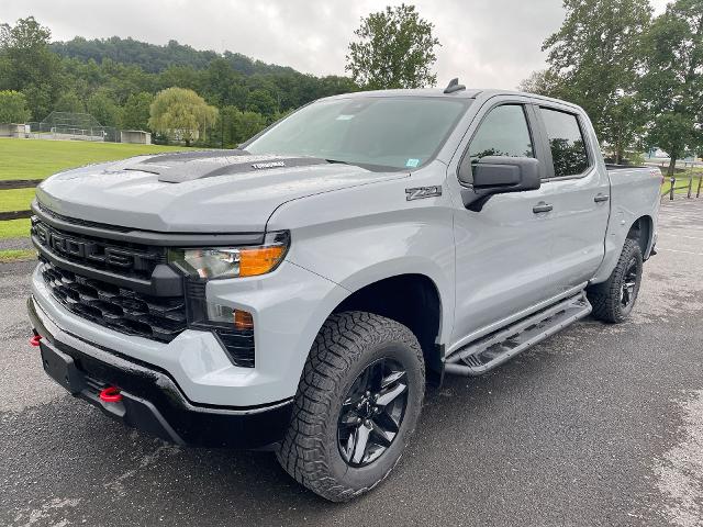 2024 Chevrolet Silverado 1500 Vehicle Photo in THOMPSONTOWN, PA 17094-9014