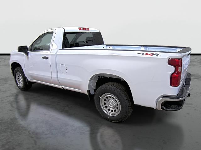 2024 Chevrolet Silverado 1500 Vehicle Photo in HANNIBAL, MO 63401-5401