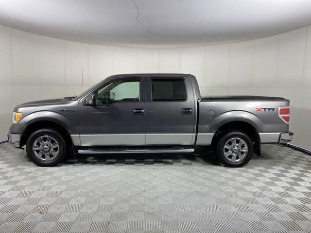 2010 Ford F-150 Vehicle Photo in MEDINA, OH 44256-9001