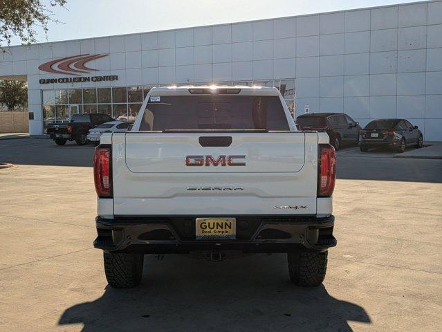 2023 GMC Sierra 1500 Vehicle Photo in SELMA, TX 78154-1459