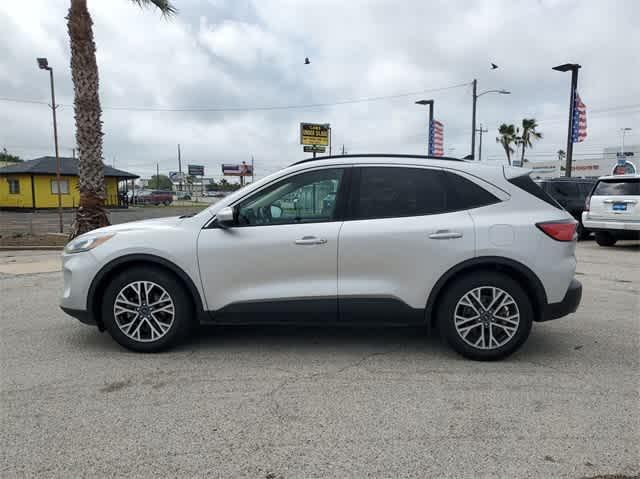 2020 Ford Escape Vehicle Photo in Corpus Christi, TX 78411