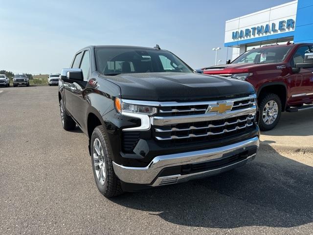 2025 Chevrolet Silverado 1500 Vehicle Photo in GLENWOOD, MN 56334-1123