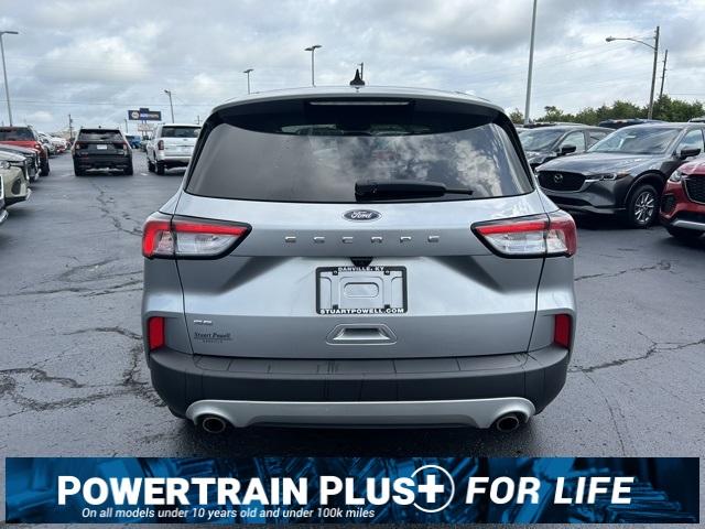 2021 Ford Escape Vehicle Photo in Danville, KY 40422