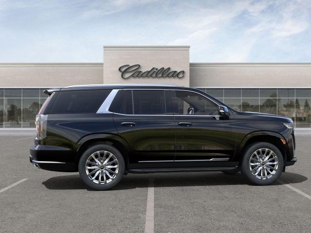 2024 Cadillac Escalade Vehicle Photo in APPLETON, WI 54914-4656