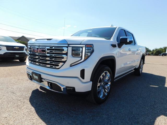 2025 GMC Sierra 1500 Vehicle Photo in GATESVILLE, TX 76528-2745