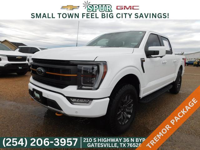 2023 Ford F-150 Vehicle Photo in GATESVILLE, TX 76528-2745