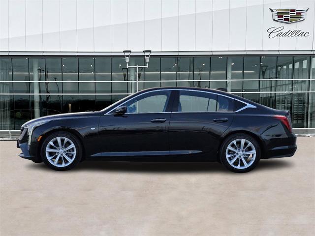 2025 Cadillac CT5 Vehicle Photo in TERRELL, TX 75160-3007