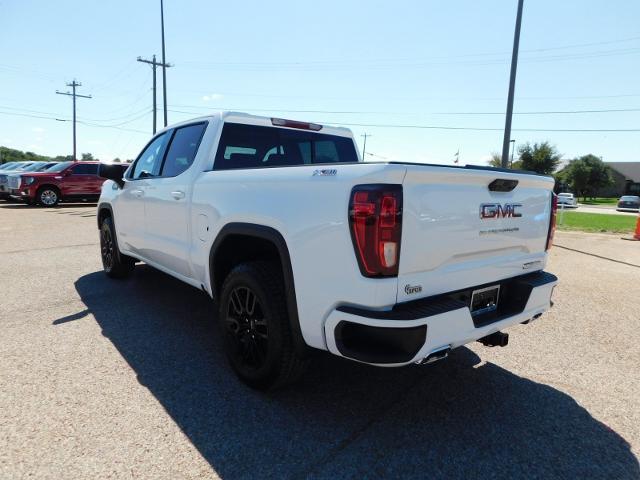 2025 GMC Sierra 1500 Vehicle Photo in Weatherford, TX 76087