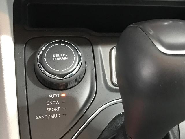 2021 Jeep Cherokee Vehicle Photo in GREEN BAY, WI 54303-3330