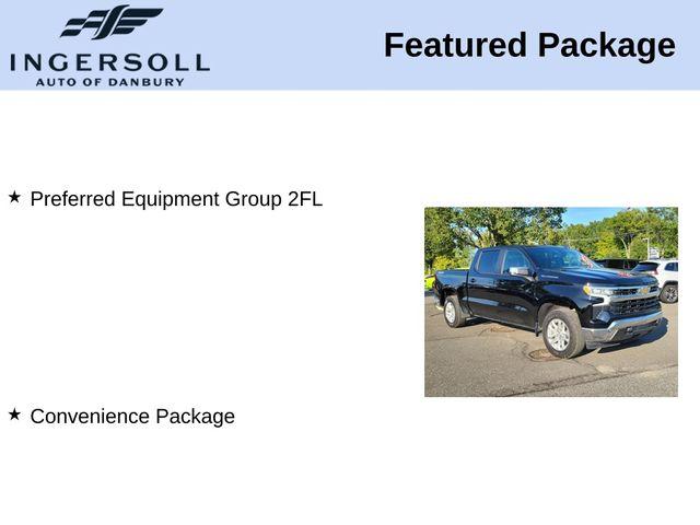 2022 Chevrolet Silverado 1500 Vehicle Photo in DANBURY, CT 06810-5034