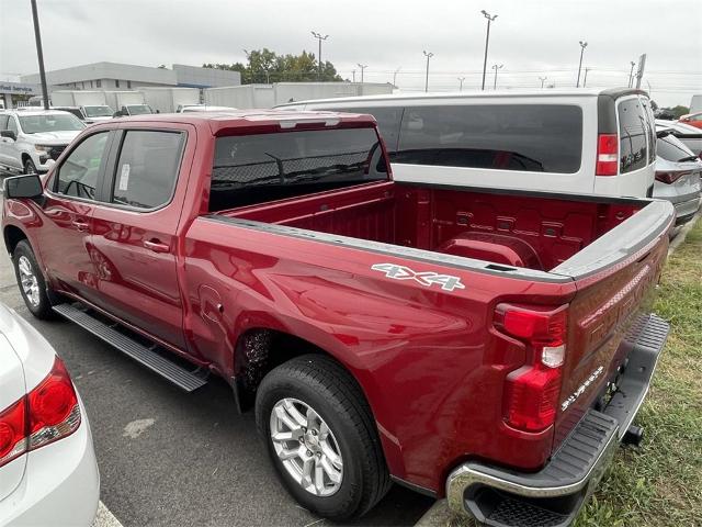 2023 Chevrolet Silverado 1500 Vehicle Photo in ALCOA, TN 37701-3235