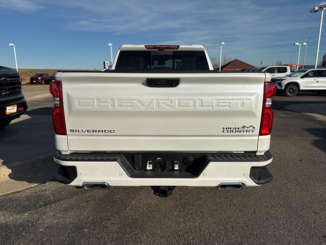 2025 Chevrolet Silverado 1500 Vehicle Photo in GLENWOOD, MN 56334-1123