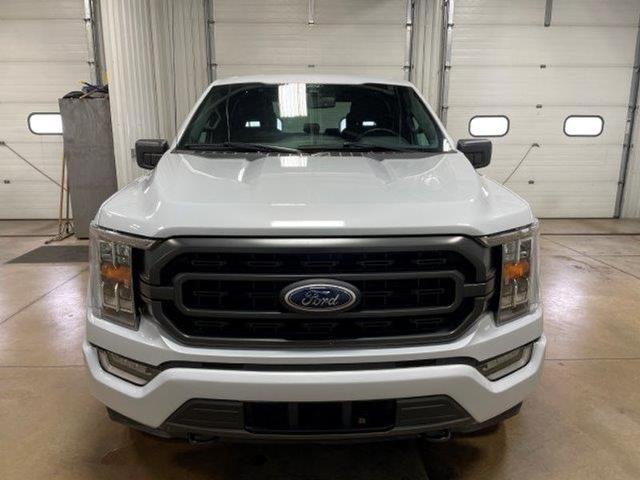 Used 2021 Ford F-150 XLT with VIN 1FTEW1EP8MKD94244 for sale in Manchester, IA