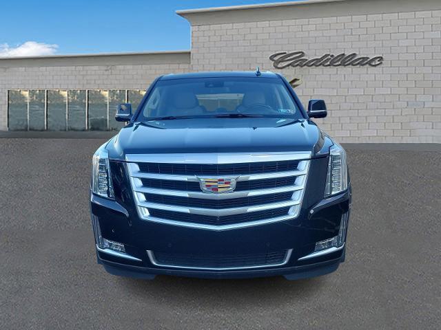 2019 Cadillac Escalade Vehicle Photo in TREVOSE, PA 19053-4984