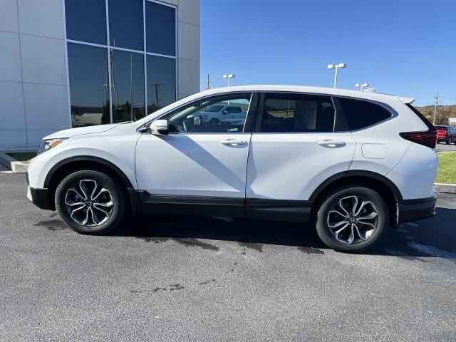 2021 Honda CR-V Vehicle Photo in INDIANA, PA 15701-1897