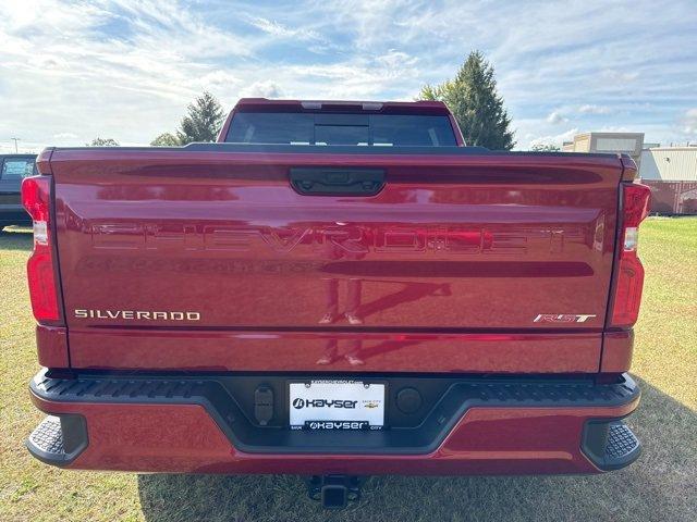 2025 Chevrolet Silverado 1500 Vehicle Photo in SAUK CITY, WI 53583-1301