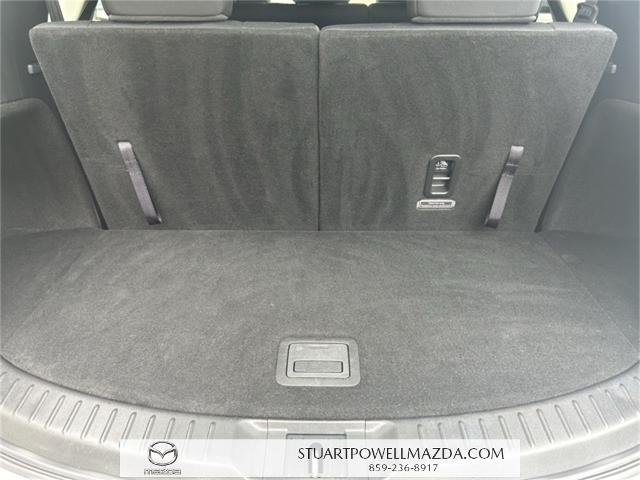 2021 Mazda CX-9 Vehicle Photo in Danville, KY 40422-2805