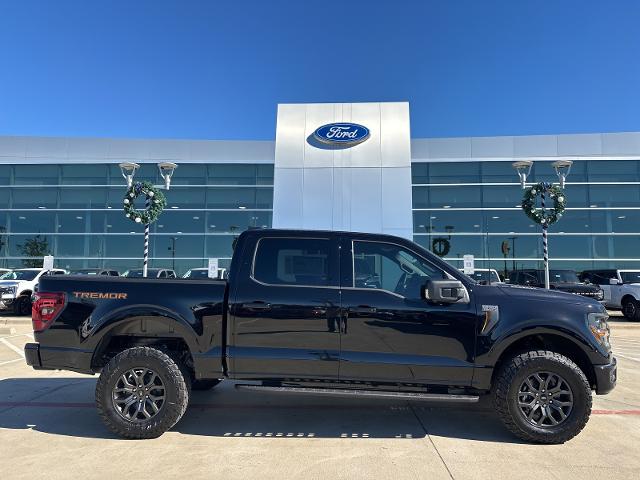 2024 Ford F-150 Vehicle Photo in Terrell, TX 75160