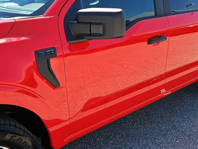 2023 Ford F-150 Vehicle Photo in SAN ANGELO, TX 76903-5798