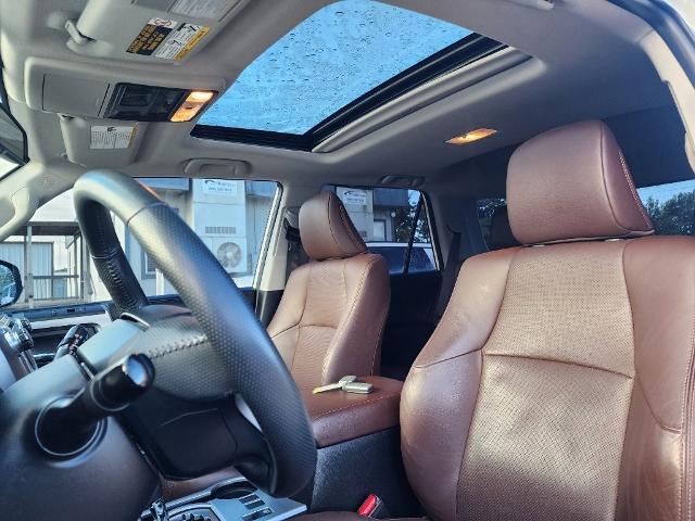 2019 Toyota 4Runner Vehicle Photo in PARIS, TX 75460-2116