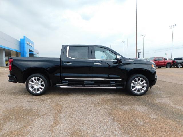 2024 Chevrolet Silverado 1500 Vehicle Photo in GATESVILLE, TX 76528-2745