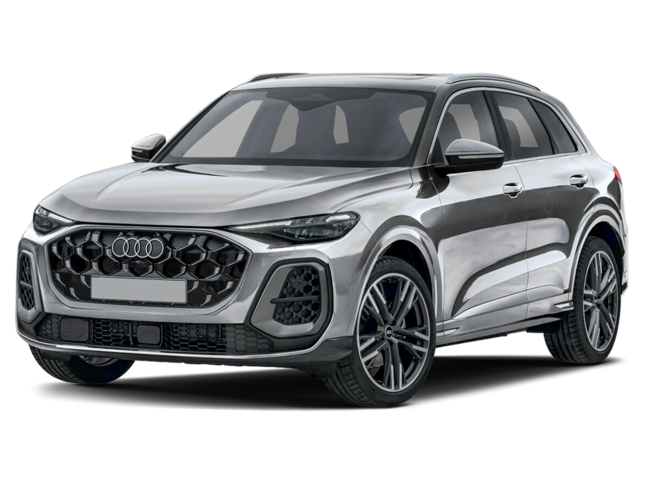 Q5 Premium Plus Florett Silver Metallic