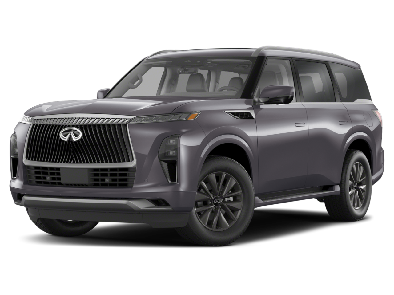 INFINITI QX80 PURE