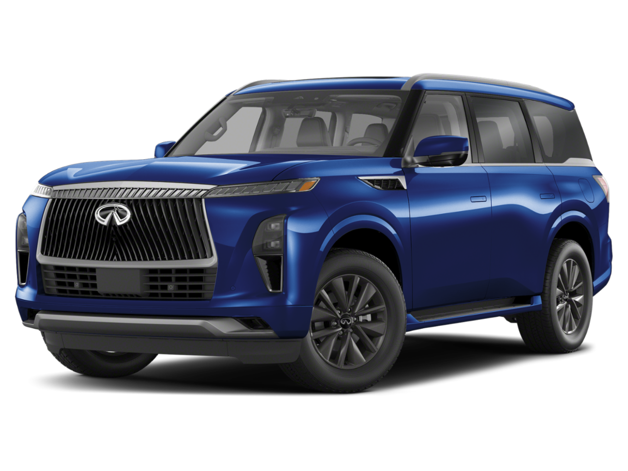 QX80 PURE Grand Blue