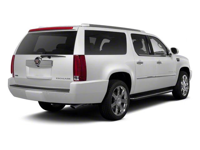 2010 Cadillac Escalade ESV Vehicle Photo in CORPUS CHRISTI, TX 78412-4902