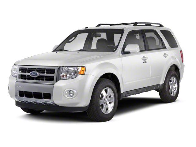 2010 Ford Escape Vehicle Photo in St. Petersburg, FL 33713