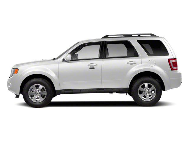 2010 Ford Escape Vehicle Photo in St. Petersburg, FL 33713