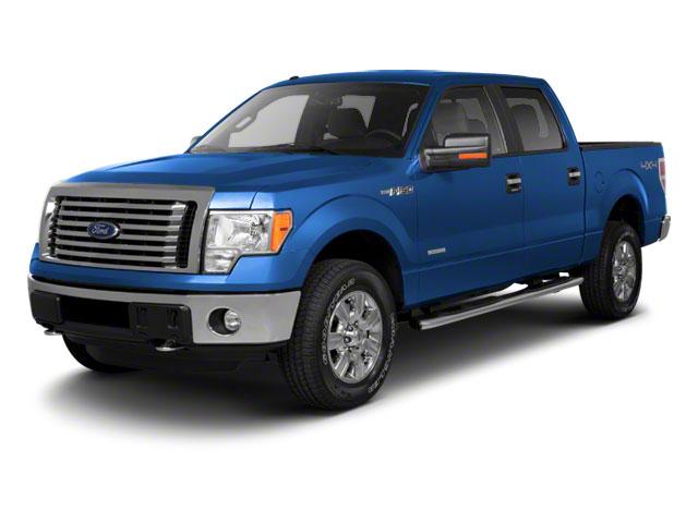 2010 Ford F-150 Vehicle Photo in Saint Charles, IL 60174