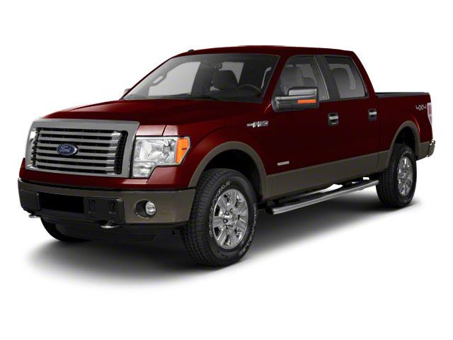 2010 Ford F-150 Vehicle Photo in West Palm Beach, FL 33417