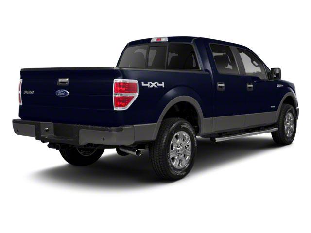 2010 Ford F-150 Vehicle Photo in GRAND LEDGE, MI 48837-9199