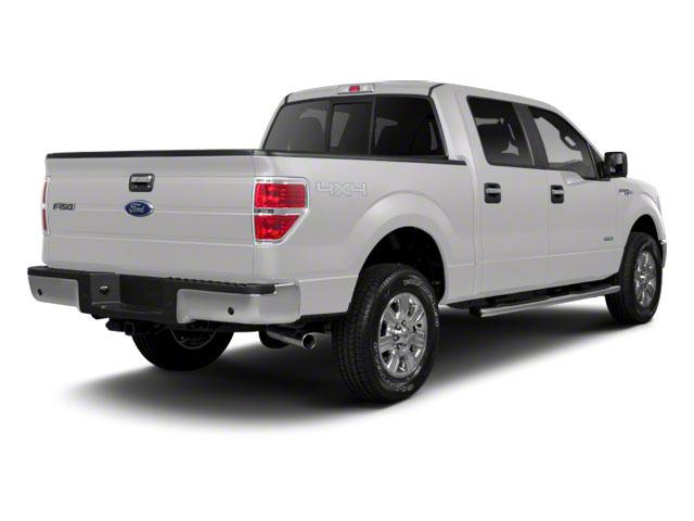 2010 Ford F-150 Vehicle Photo in Gatesville, TX 76528