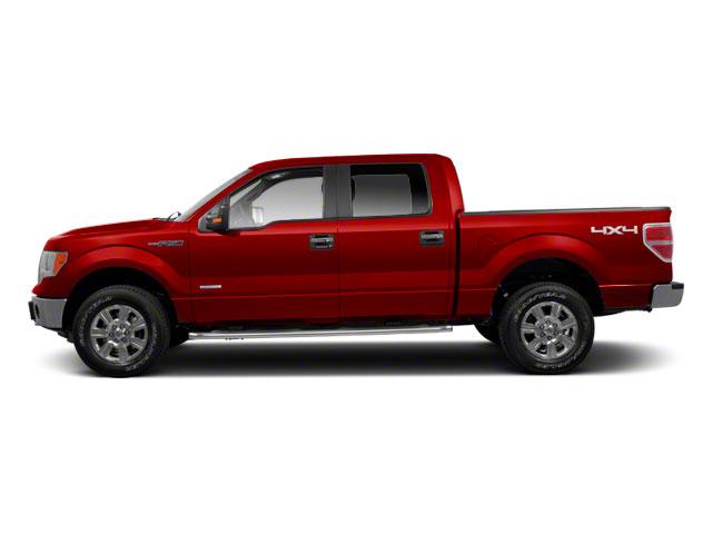 Used 2010 Ford F-150 XLT with VIN 1FTFW1EV2AFC38675 for sale in Durand, IL
