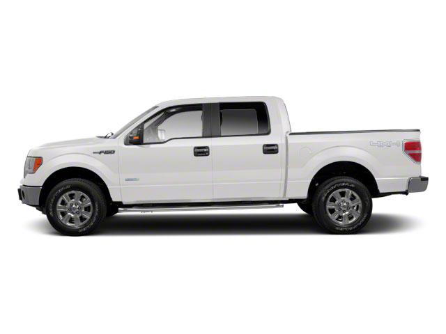 2010 Ford F-150 Vehicle Photo in Gatesville, TX 76528