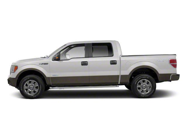 2010 Ford F-150 Vehicle Photo in Gatesville, TX 76528