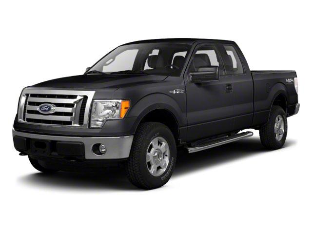 2010 Ford F-150 Vehicle Photo in Jacksonville, FL 32256