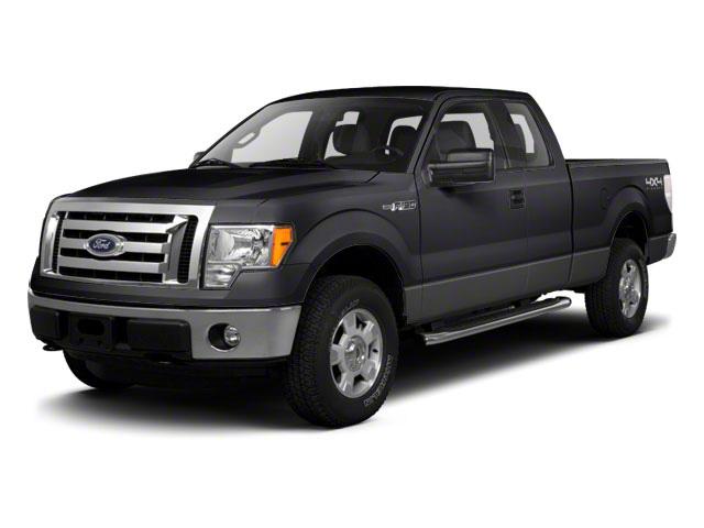 2010 Ford F-150 Vehicle Photo in Jacksonville, FL 32256