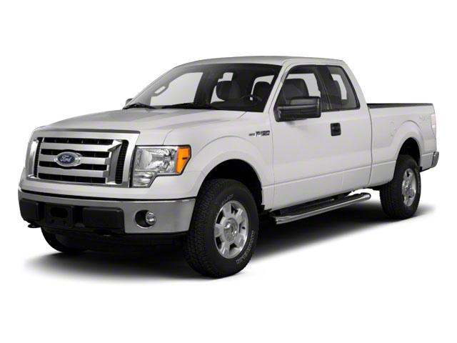 2010 Ford F-150 Vehicle Photo in Jacksonville, FL 32256