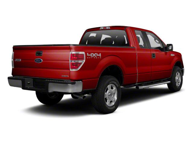 2010 Ford F-150 Vehicle Photo in GRAND LEDGE, MI 48837-9199