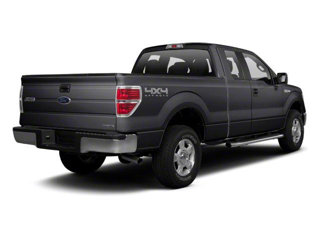 2010 Ford F-150 Vehicle Photo in WACO, TX 76710-2592