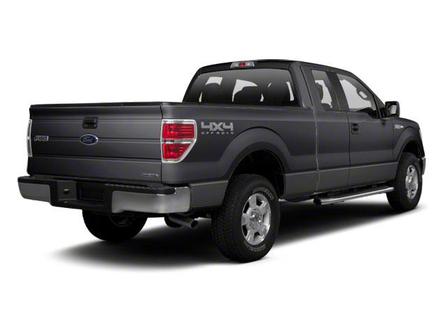 2010 Ford F-150 Vehicle Photo in Jacksonville, FL 32256