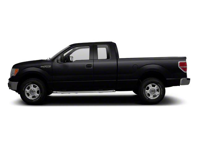 2010 Ford F-150 Vehicle Photo in Jacksonville, FL 32256