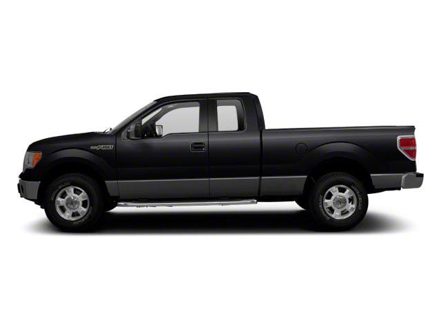 2010 Ford F-150 Vehicle Photo in Jacksonville, FL 32256