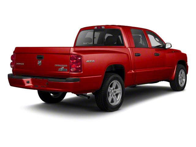 2011 Ram Dakota Vehicle Photo in SELMA, TX 78154-1460