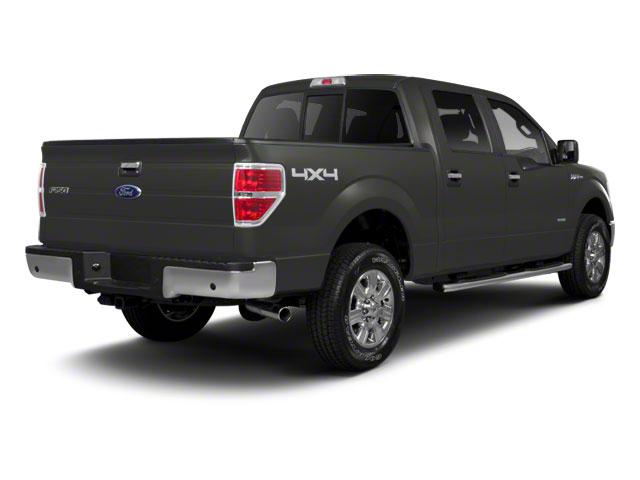 2011 Ford F-150 Vehicle Photo in MEDINA, OH 44256-9631